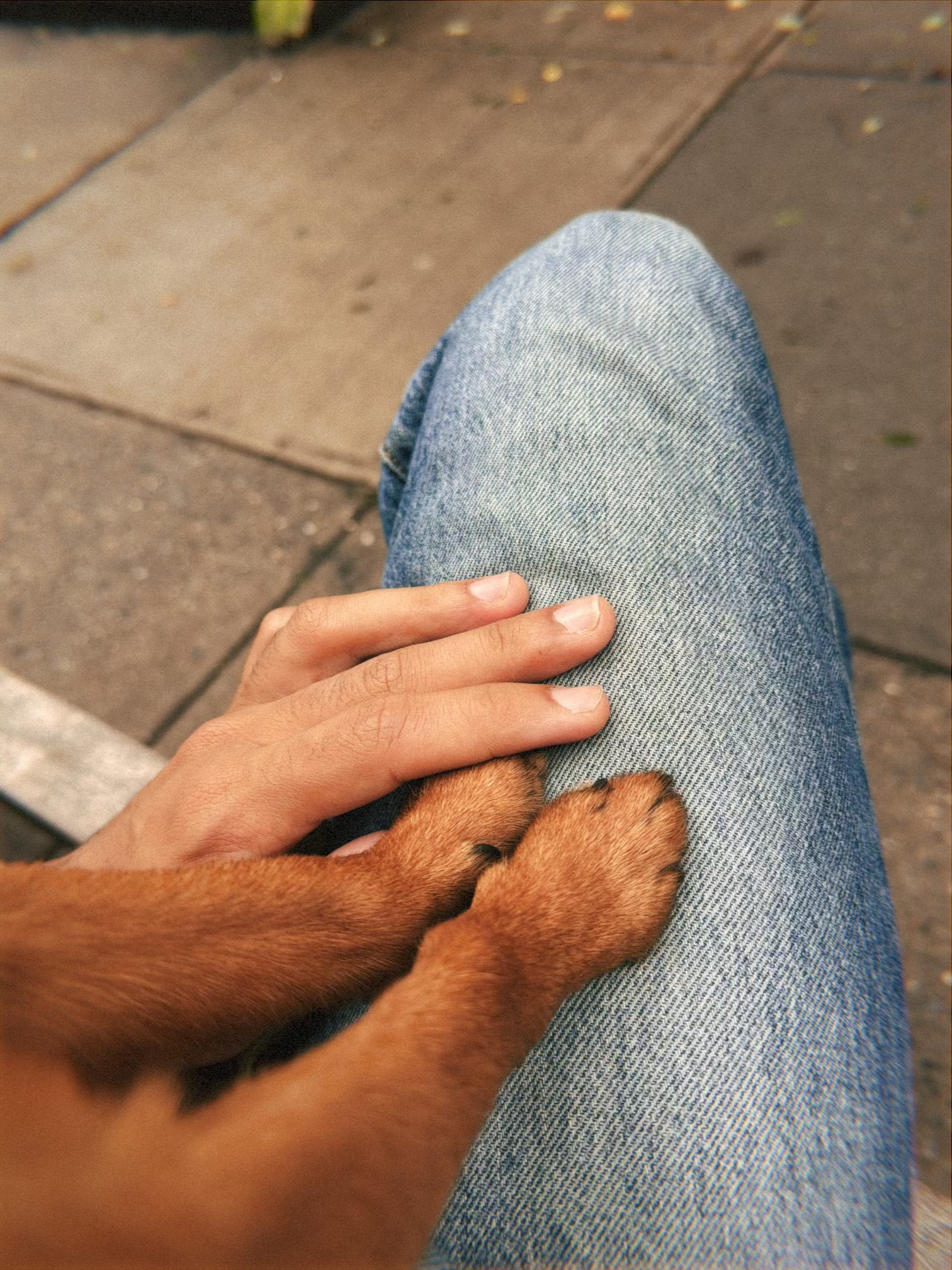 Two hands resting together on a denim-clad knee